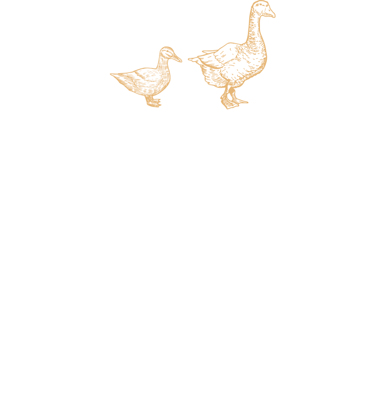 Gans und Ente bestellen Lübeck